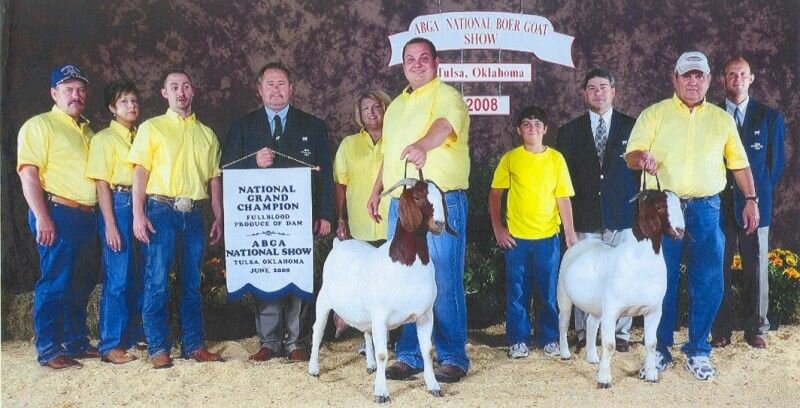 SGR Southern Brass - Boer Goat Doe